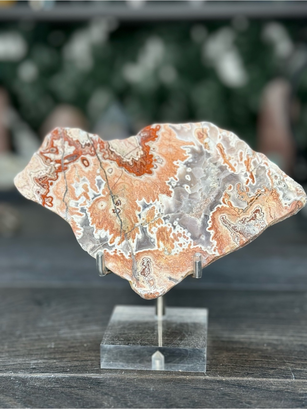 Rosetta picture stone also known as Rosetta Jasper slab with striking colors